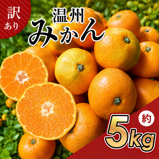 訳あり たまな産 温州みかん 5kg | 果物 くだもの フルーツ 柑橘類 柑橘 みかん ミカン 蜜柑 熊本 玉名