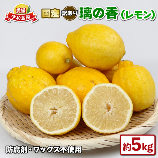 訳あり 璃の香 ( レモン ) 5kg つばさ農園 レモンB010-048014