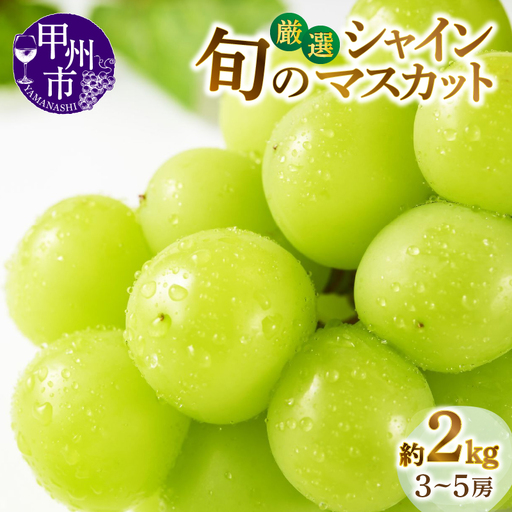 甲州市産厳選旬のシャインマスカット 約2kg 3房～5房入り【2026年発送】（MG）B18-450シャインマスカット フルーツ