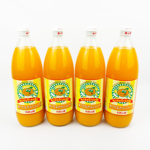 【和歌山県有田産】100%温州みかんジュース (970ml×4本セット)/ジュース みかん  【tss004A】