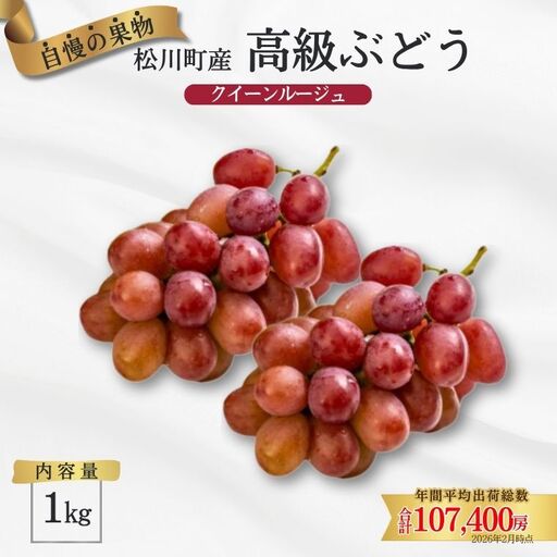 ぶどう クイーンルージュ® 約1kg /2026年9月下旬〜10月頃 配送予定[TK13]//稀少 新品種 長野県 南信州 松川町産 高糖度 葡萄 クインルージュ 甘い 種なし 皮ごと 先行予約