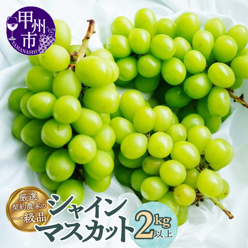 厳選契約農家の一級品 シャインマスカット2kg以上 3～5房【2026年発送】（SFL）C-430 シャインマスカット フルーツ