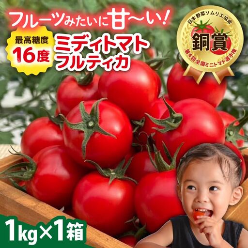 [先行受付]フルティカ 1kg [2026年11月以降順次発送]糸島市 / かわぞえ農園 トマト 中玉トマト 