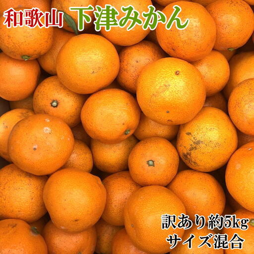 【訳あり】和歌山下津みかん約5kgご家庭用向け(サイズ混合)　※2026年11月中旬～2027年1月中旬頃順次発送予定（お届け日指定不可）【tec949A】