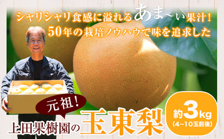 梨 熊本県産 玉東梨 約3kg 先行予約 上田果樹園 熊本 梨