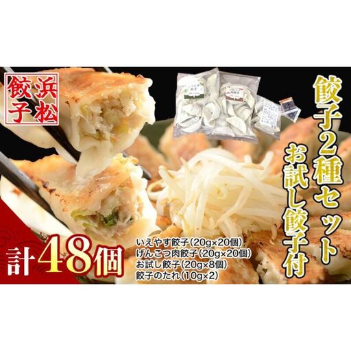餃子 和風だし 肉餃子 いえやす 2種 48個 食べ比べ 餃子