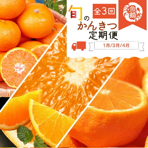 【定期便 全3回】紀州和歌山産旬の柑橘セット（みかん・紀州デコ・清見）_G60-T44