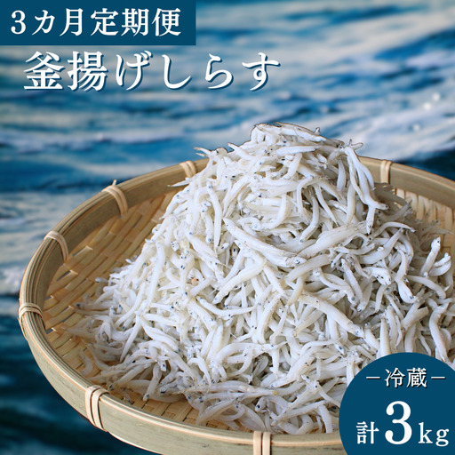 【3カ月定期便】釜揚げしらす（ご家庭用）計3kg（1kg×3回）※北海道・沖縄・離島配送不可 / しらす丼 丼ぶり シラス 家庭用 冷蔵 お取り寄せ 和歌山県 田辺市 【has011-tk】