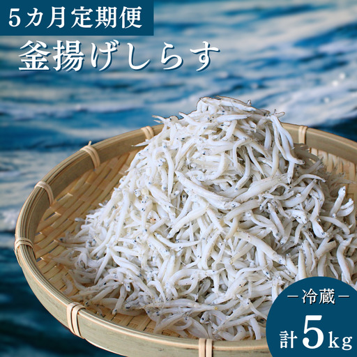 【5カ月定期便】釜揚げしらす（ご家庭用）計5kg（1kg×5回）※北海道・沖縄・離島配送不可 / しらす丼 丼ぶり シラス 家庭用 冷蔵 お取り寄せ 和歌山県 田辺市 【has012-tk】