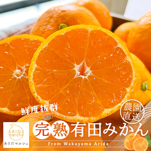 【先行予約】＜11月発送＞農園直送!完熟有田みかん【サイズ混合】3kg＋200g  ※北海道・沖縄・離島への配送不可【ard002C-11】