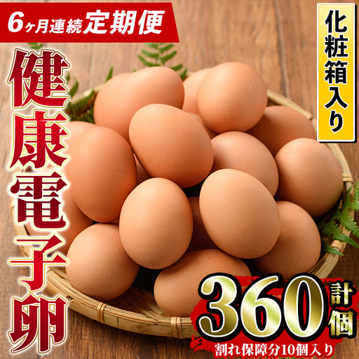 [6か月定期便]健康電子卵(計60個 計120個 全6回お届け♪ )[00-095-05-TK]