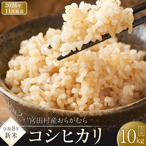 [予約受付][令和8年米][新米]長野県宮田村産コシヒカリ/玄米/10kg・18,000円/11月配送( コシヒカリ )