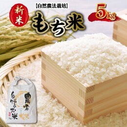 カワノ農園 もち米5kg(自然農法栽培) _U70-0273