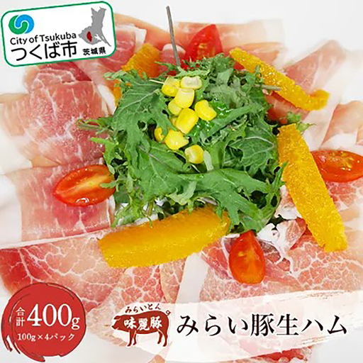 みらい豚生ハム400g 生ハム