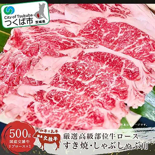 しゃぶしゃぶ 厳選高級部位牛ロース500g しゃぶしゃぶ