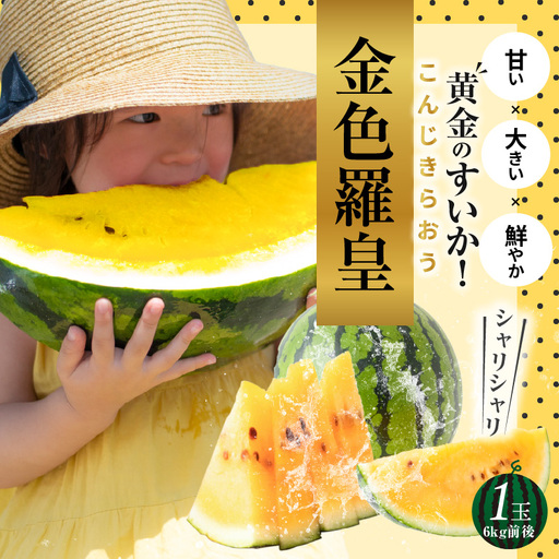 [予約受付][2027年発送]甘さを追求したすいか「金色羅皇」1玉 すいか 甘い 糖度 黄色 果物 フルーツ 数量限定 碧南市 鈴良農園