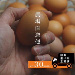 『定期便』四ツ葉農場の霜降りたまご「きみがスター」30個 全6回 YO019_003s6