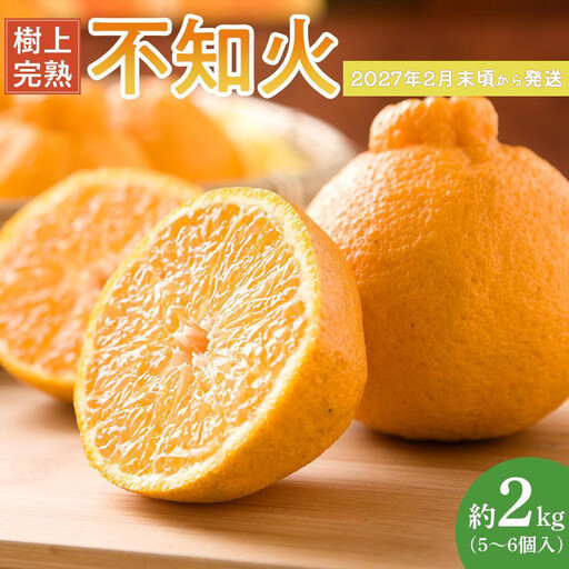 ［限定］不知火 樹上完熟 約2kg （5～6個入）［2027年2月末頃から3月末頃発送］［KG6］