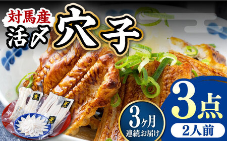 【全3回定期便】対馬産 活〆 穴子 ３点 セット B 新鮮 あなご 刺身 天ぷら 海鮮 二人前  [WAS009]
