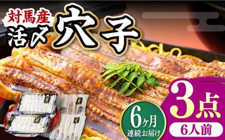 【全6回定期便】対馬産 活〆 穴子 ３点 セット E 新鮮 あなご 刺身 天ぷら 海鮮 六人前  [WAS019]