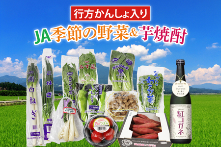 [『行方かんしょ』入り]JA 季節の野菜&芋焼酎(AE-5)