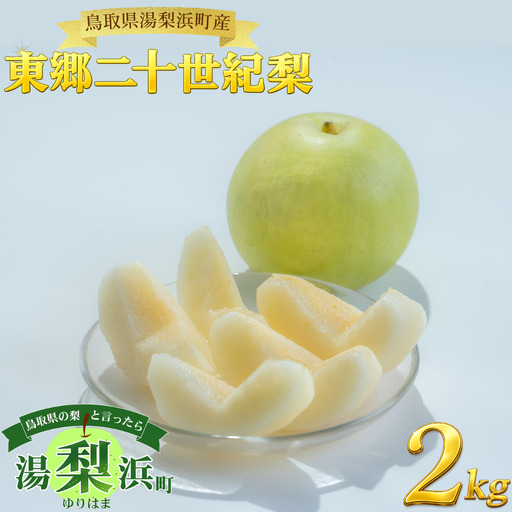[期間限定]梨 なし 二十世紀 2kg 鳥取県 湯梨浜町 果物 フルーツ 特産品 8月中旬〜9月上旬頃順次発送 先行予約 JA 東郷梨選果場 新鮮 人気 おすすめ 送料無料 選べる 内容量 くだもの フルーツ さっぱり さわやか ジューシー 定番 贈答 進物 6M