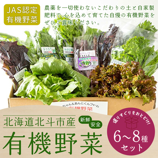 【JAS認定有機野菜】北斗市産 有機野菜6～8種類野菜セット 紙箱入(季節で種類が変わります) HOKB020