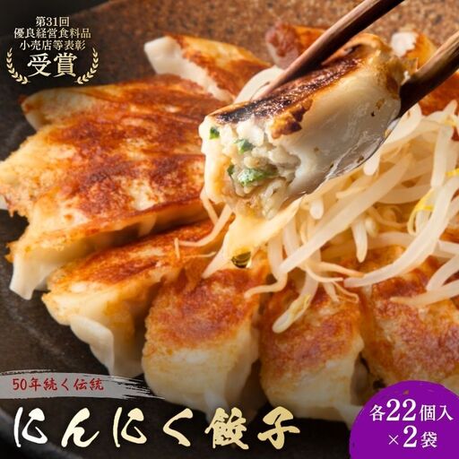 餃子 にんにく餃子 梅しそ餃子 各2袋 冷凍 餃子
