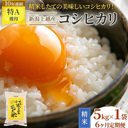 コシヒカリ 新米予約 5kg 6回 定期便 30kg コシヒカリ