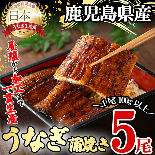 桜林養鰻のうなぎ蒲焼 計500g以上(100g以上×5尾) 鰻 うなぎ ウナギ うなぎ  蒲焼き かばやき 国産 九州産 鹿児島県産 冷凍 真空パック 簡単 うな丼 うな重 ひつまぶし 惣菜 おかず b7-016
