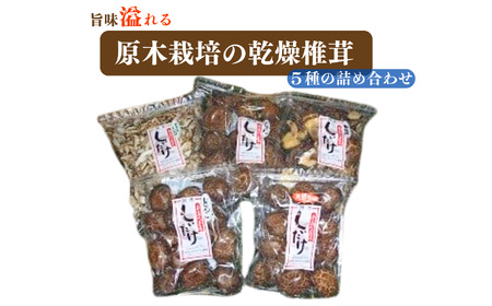 原木栽培の乾燥椎茸５種の詰め合わせ（どんこ 小粒どんこ こうしん スライス 得用）【新潟県 糸魚川 しいたけ シイタケ 香信】