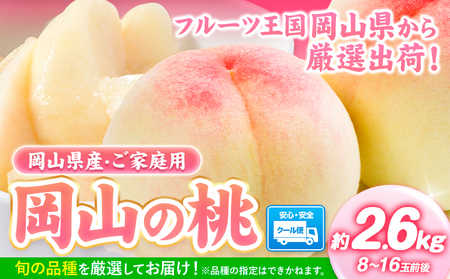 【2027年発送】 白桃 岡山の桃 約2.6kg