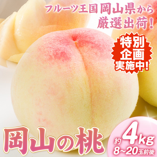 白桃 岡山の桃 約4kg