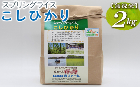 スプリングライス こしひかり (無洗米)2kg コシヒカリ ※着日指定不可 | 米 こめ コメ ご飯 白米 単一米 国産 茨城県産 _BI38