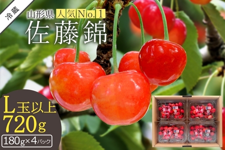 【2026年発送】さくらんぼ佐藤錦720g（L以上・180g×4パック詰）_H161(R8)