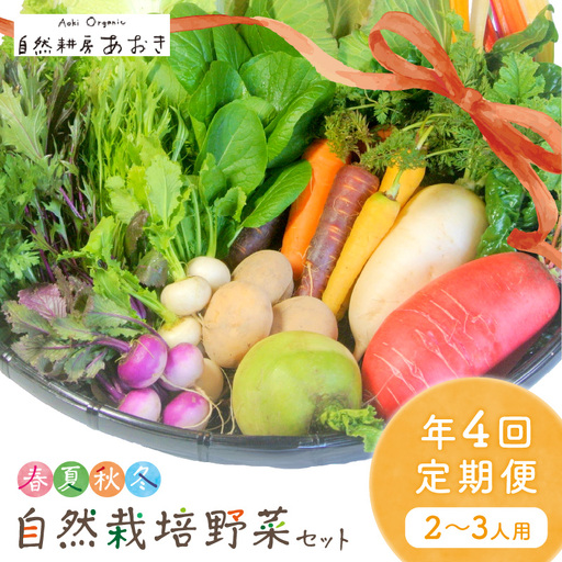 [4回定期便]自然栽培野菜セット(年4回春夏秋冬)2〜3人用 野菜