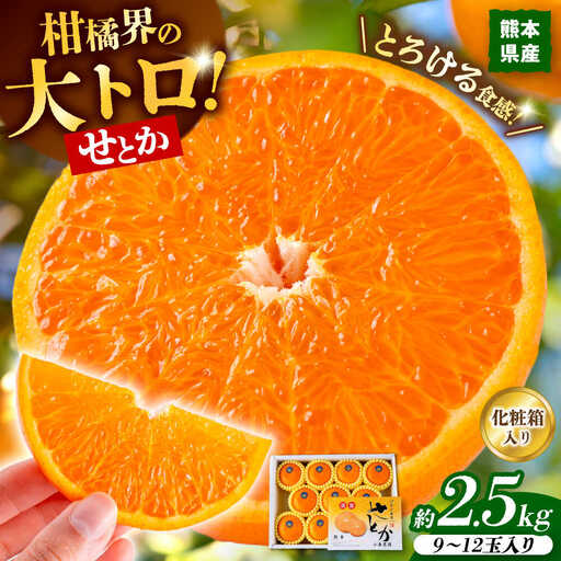 せとか　12玉　2箱セット 27年2月下発送 せとかみかん約2.5kg化粧箱入り せとか果物ギフトZBN002