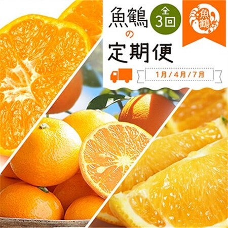 【発送月固定定期便】紀州和歌山産旬の柑橘セット(みかん・なつみ・バレンシア)全3回【配送不可地域：離島】【4011933】