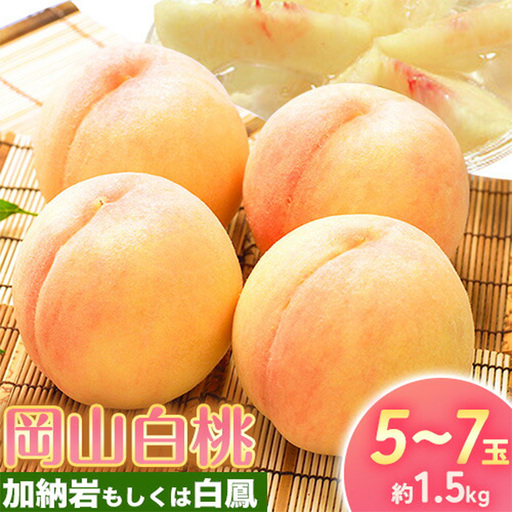 岡山白桃 約1.5kg 環山堂株式会社[配送不可地域あり]