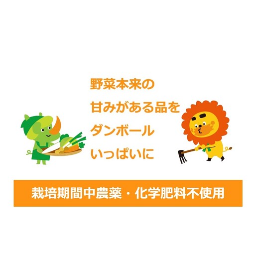 2～4名様向け／野菜6種に加工品をプラス 野菜セット 野菜詰合せ 産地直送 旬の野菜 農園直送 食べ物 食品 グルメ 食卓 ベジタブル 国産 日本産 国産野菜 