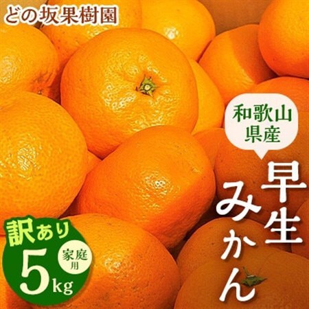 訳あり・ご家庭用 早生みかん 約5kg(農家お助け2S〜4L規格)[2026年12月中旬〜順次発送][配送不可地域:離島・北海道・沖縄県]