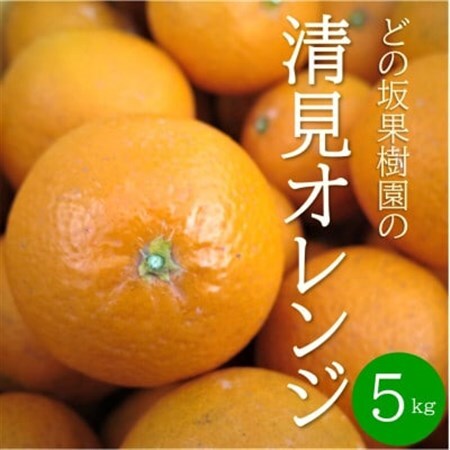 [2027年3月以降出荷]どの坂果樹園の清見オレンジ 5kg(サイズ混合)