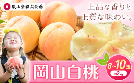 岡山白桃 約2kg 環山堂株式会社 【配送不可地域あり】