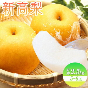 新高梨 5〜6玉計約2.5kg 環山堂株式会社