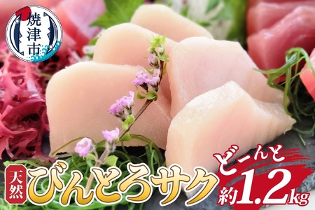 天然びんとろサク 約1.2kg業務用 (a10-1048)
