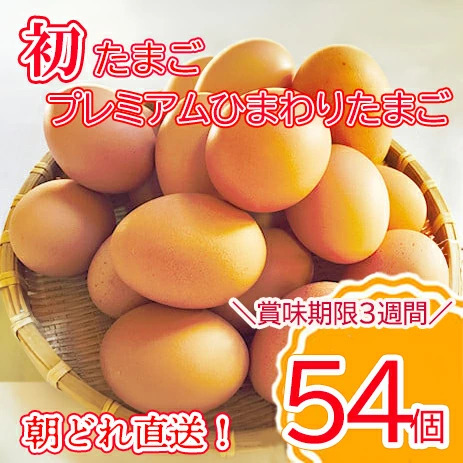 [最短翌日発送]＼2〜5日以内発送/ 初たまご プレミアムひまわりたまご54個程度※破卵補償