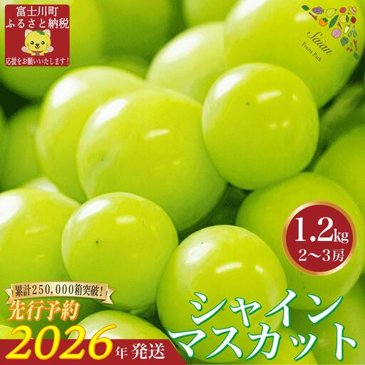 【2026年発送分 先行予約】 シャインマスカット 1.2kg（2～3房） 8月中旬以降発送予定 フルーツ 山梨県産 果物 シャイン マスカット ぶどう ブドウ 大粒 種なし 産地直送  富士川町 先行予約（A5302）