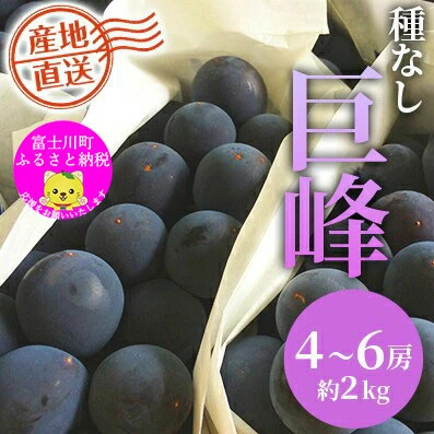【JA職員厳選】【2025年先行予約】富士川町産巨峰（ピオーネ）4-6房（約2kg） ぶどう 葡萄 ブドウ 種なし 大粒 山梨県産 フルーツ 果物 くだもの 産地直送 富士川町