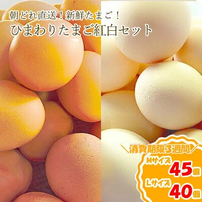 農林水産大臣賞受賞！ひまわりたまご 紅白セット（40〜45個）※破卵補償10個含（冷蔵） 卵 鶏卵 玉子 最短