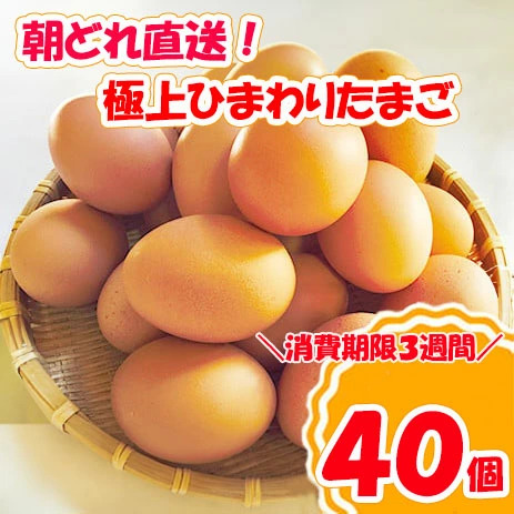 B1807極上ひまわりたまご（40個程度）※破卵補償10個含 卵 鶏卵 玉子